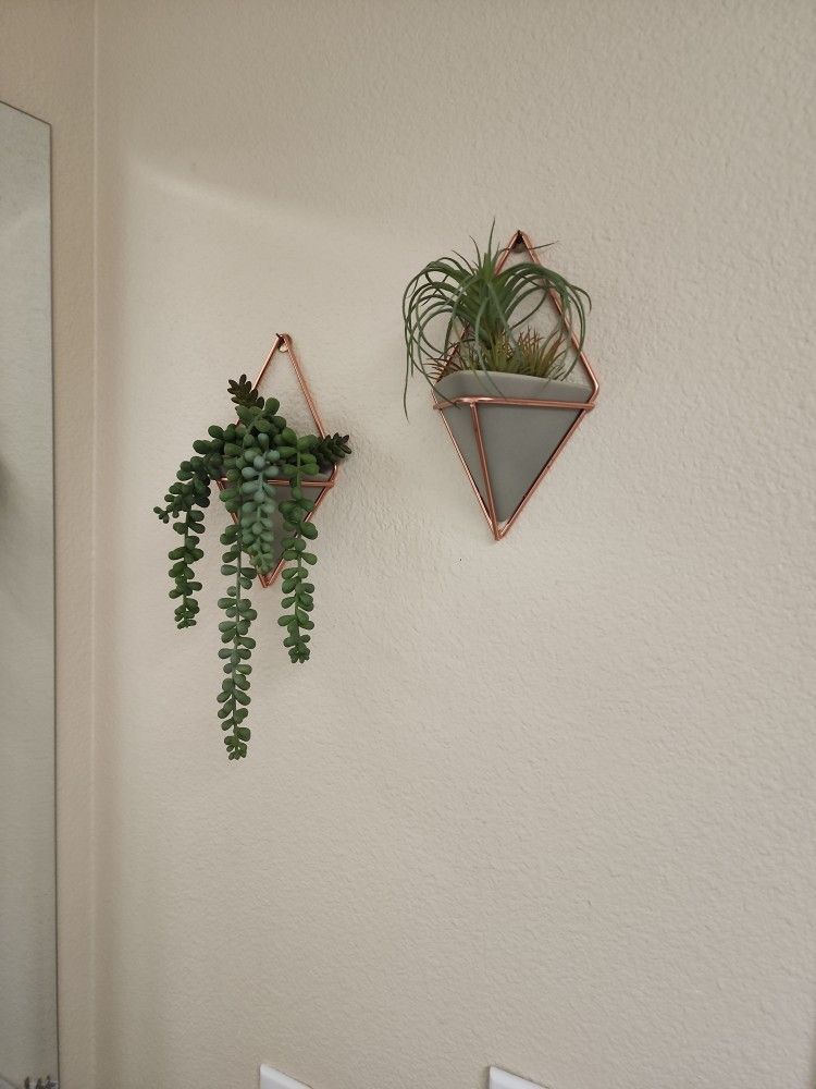 Ceramic Plant Holders