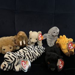 Misc Animal Beanie Babies Set Of 7