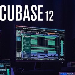 Cubase Pro 12 For Windows 