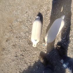 Inflatable Fender 
