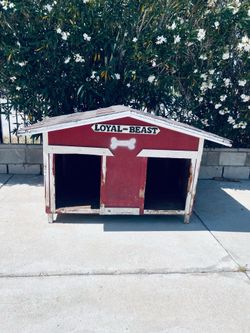 Dog house