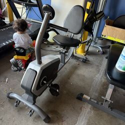 Sunny Recumbent Exercise Bike 