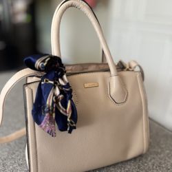 Aldo Light Pink Bag