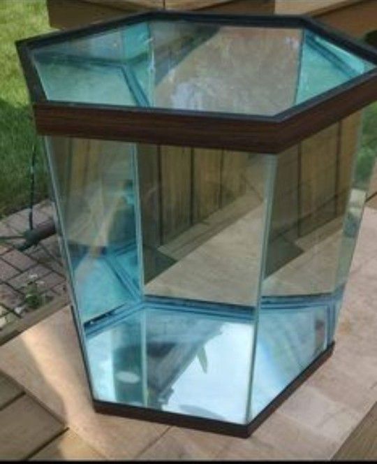 50 gallon hexagon fish tank