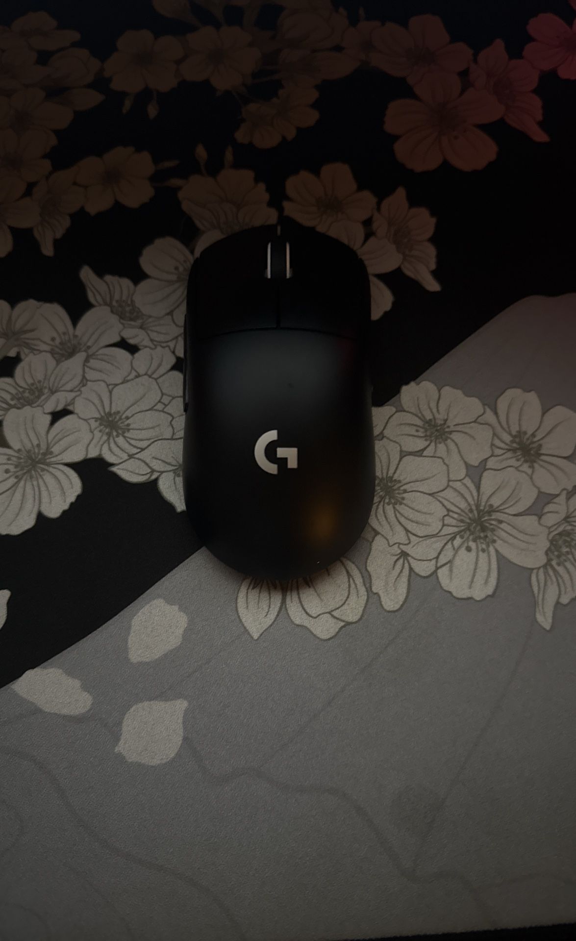 modded Gpro x superlight
