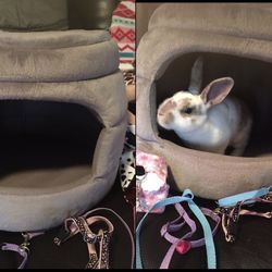 Beehive Bed For Pets