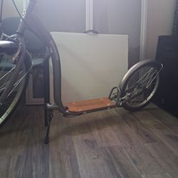 Adult Shwin Scooter 