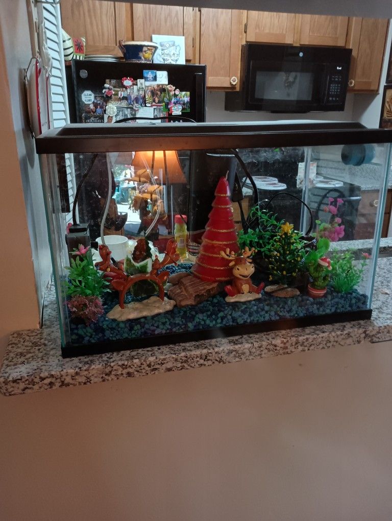 Fish Aquarium