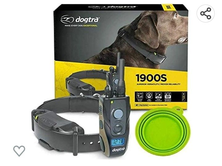 Dog Training Collar
