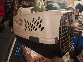 Dog kennel