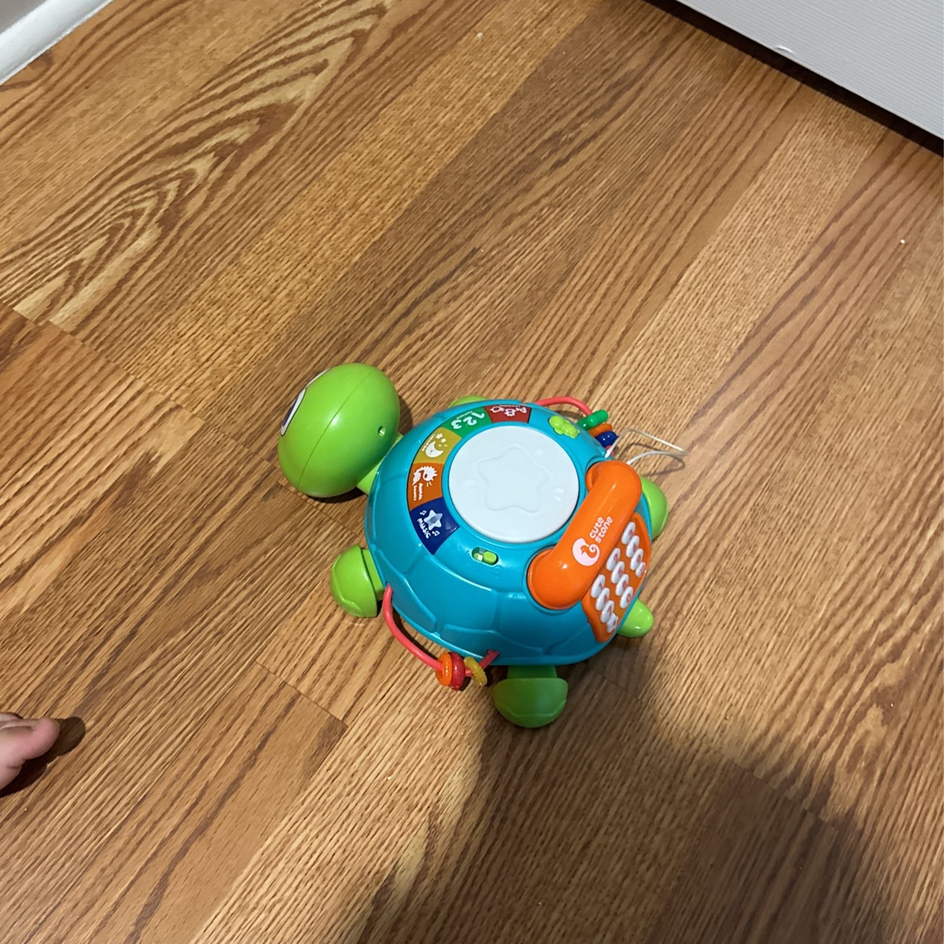 Baby Turtle Activity Toy