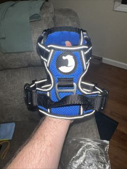 Dog Walking And Training Vest Blue