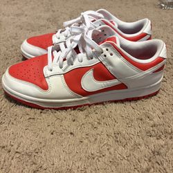 Nike dunk Size 10.5