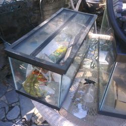 2 Fish Aquariums with filters and lights