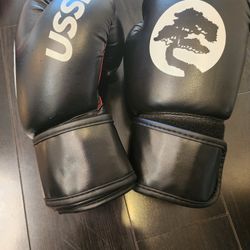 USSD 8oz Karate Gloves