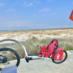 Weehoo Kids Bike Trailer