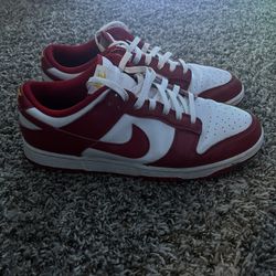 Nike Dunk Retros Low