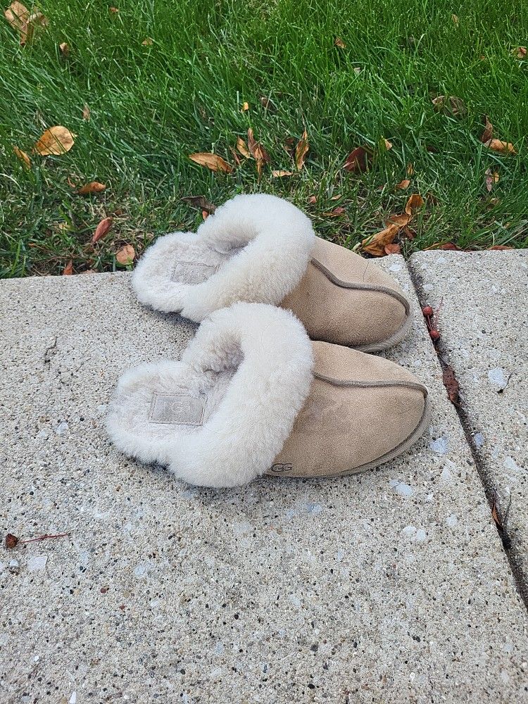Ugg Slippers