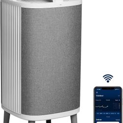 BLUEAIR Hepa Certified DustMagnet Air Purifier 5240i