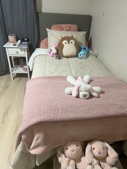 Twin size bed frame, mattress and box spring