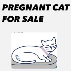 This Is For Sale