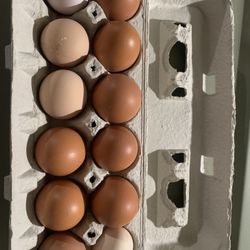 Eggs