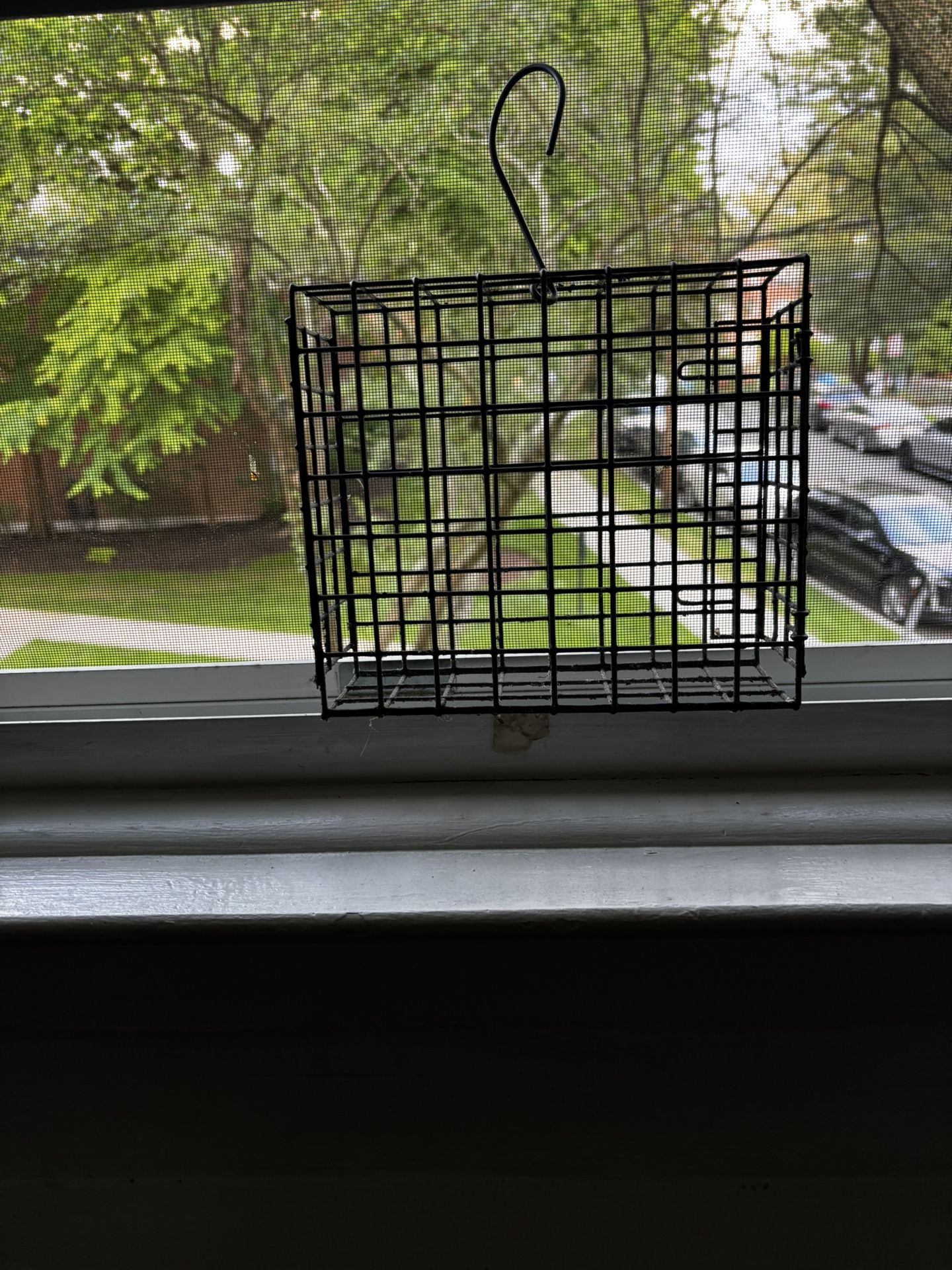 Bird Feeder