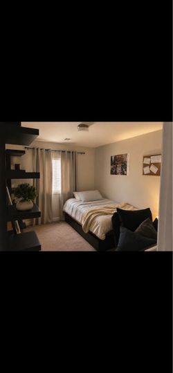 Twin Bed Frame/ Mattress