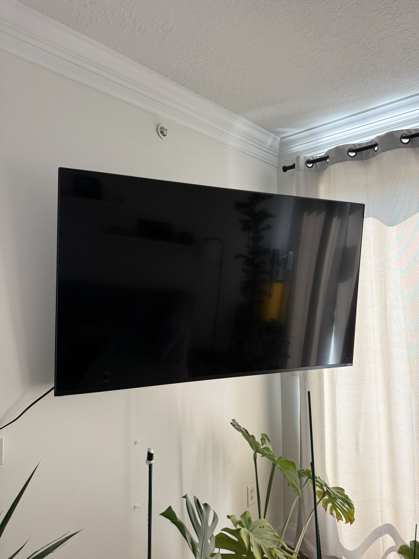 Vizio 65” TV