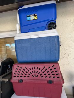 Coolers and Pet Carrier