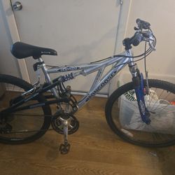 Adult Bike
