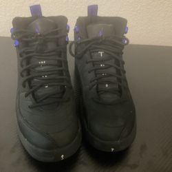 Jordan 12 Retro Black Dark Concord