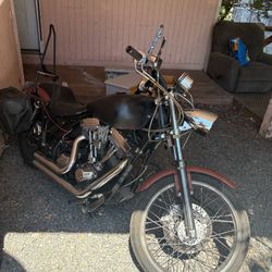 89 Custom Harley
