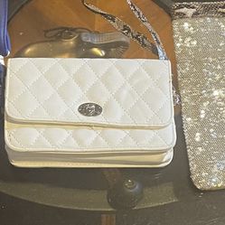 One Micheal Kors Hand Bag, One Small Wallet & A Nice Little Glittery Makeup Bag