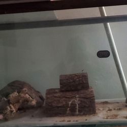 Fish Tank for Sale