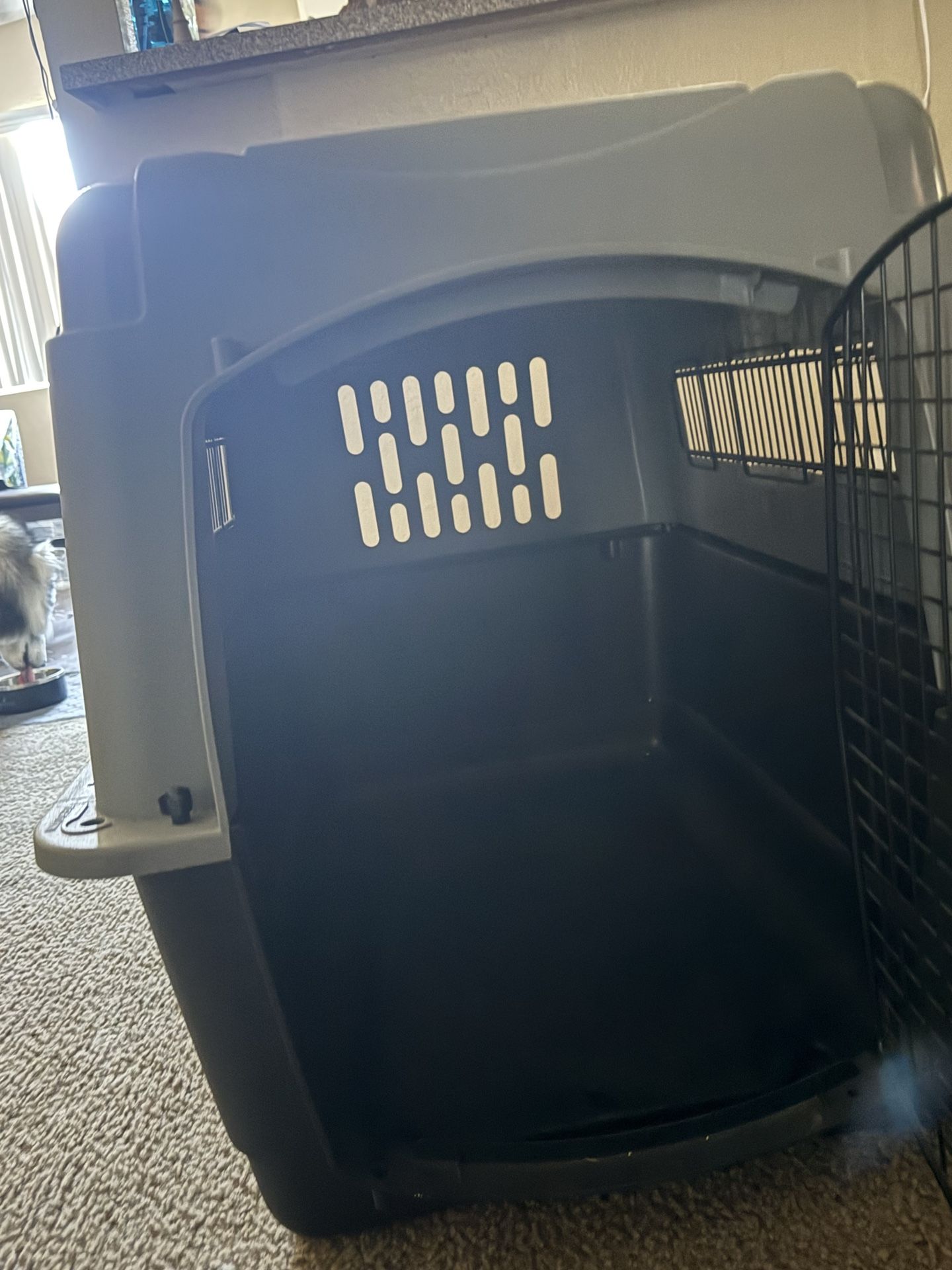 Dog Crate