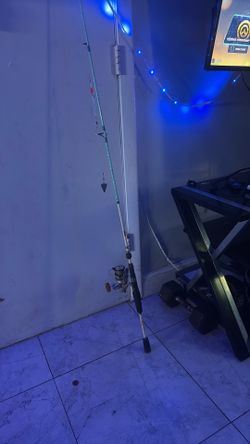 Fishing pole worth 100+