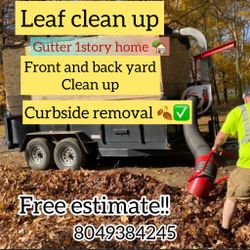 Leaf Vacuum 