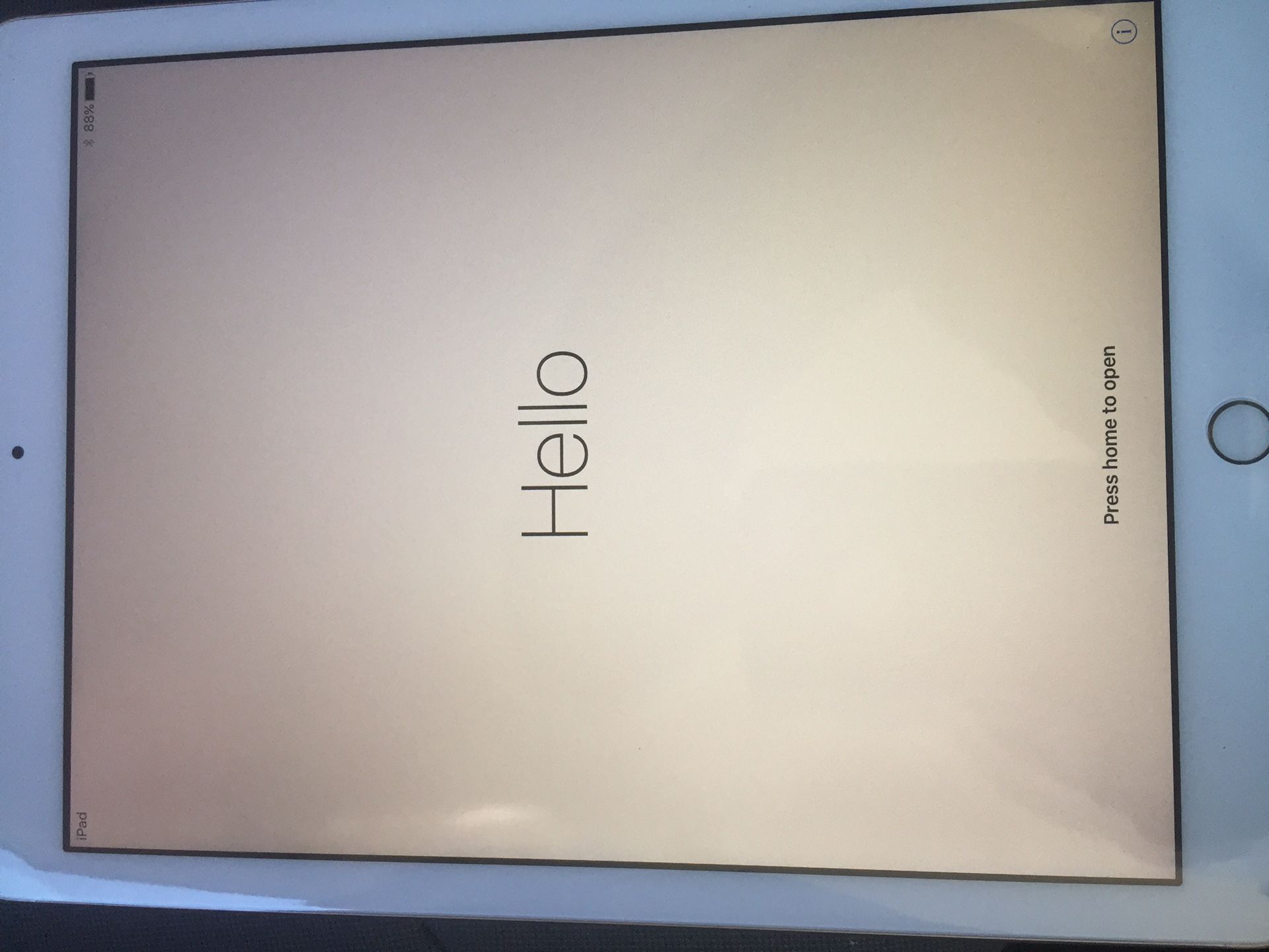 Apple iPad
