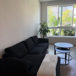 Used Sofa- Cleaned -BLACK