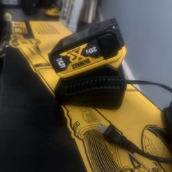 DeWalt 20v Max XR  Premium Lithium -Lon 5.0 AH Battery With Charger