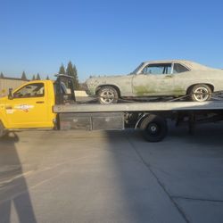 Transport 