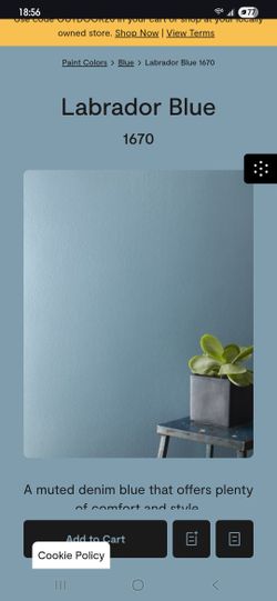 Labrador Blue: Benjamin Moore Paint