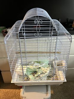 Bird Cage