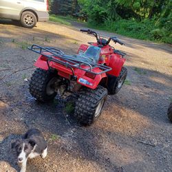 2002 Bayou Kawasaki 220