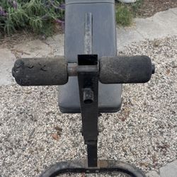Workout Bench