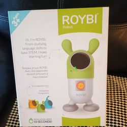 Roybi Robot