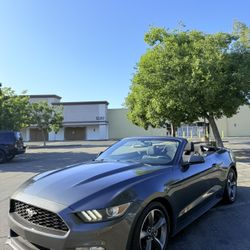 2015 Ford Mustang Convertible 2 Door 
