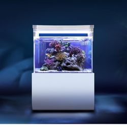 Brand: MagTool

Premium All-in-One 0.7gal Ecological Desktop Mini Acrylic Aquarium with Bottom Filter System and LED Lightht(UF-01B)

￼

￼

￼

￼

￼



