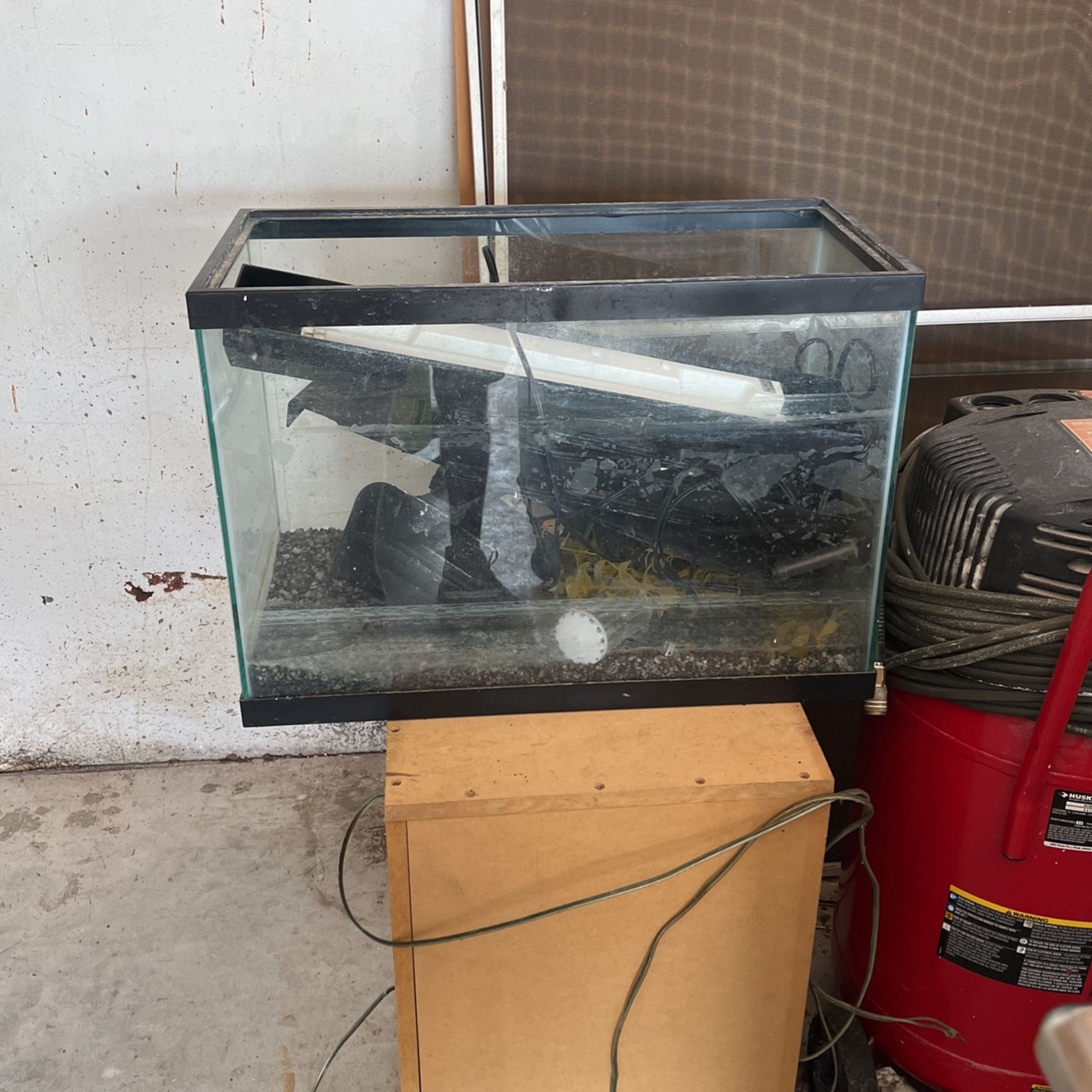 20 Gallon Fish Tank
